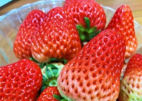 楼下买的草莓，挺红一点都不甜，还死贵